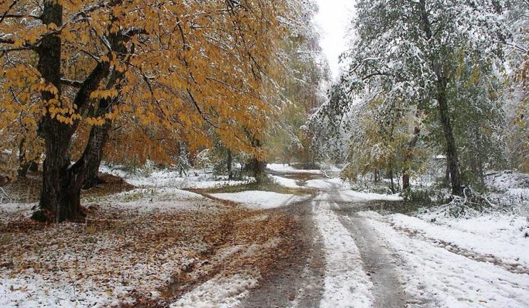 Early snow in Kapan causes major harvest damage
