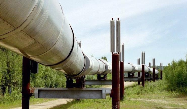 Some shots from last week: October 24-30