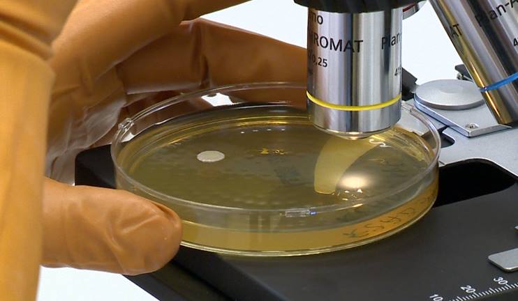 Medical protocol - important tool in healthcare system