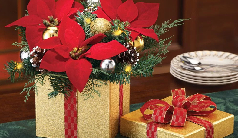 2017-ի խորհրդանիշ ծաղիկը պուանսետիան է, որի տերևները կարմրում են Ամանորին