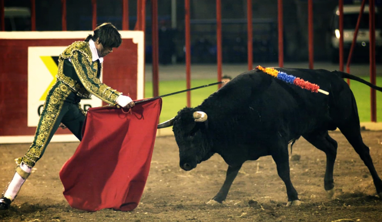 A story of one photo: Bullfighting by bull rules