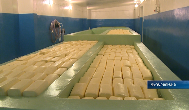 Գեղարքունիքում 7 նոր բիզնես-ծրագիր կմեկնարկի