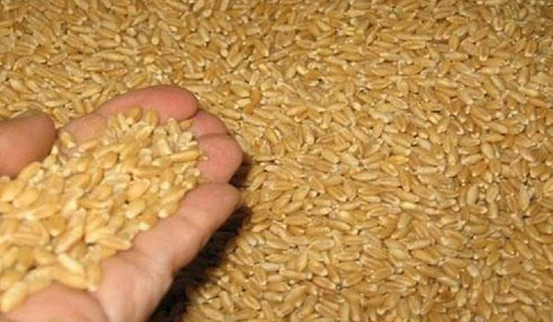 Կառավարությունը սուբսիդավորում է գյուղացիներին տրվող սերմացուի գնումը