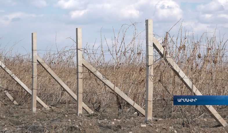 Խաղողագործները որթատունկերի ցրտահարության աստիճանն են ստուգում