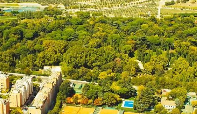 Կլիմայական փոփոխություններին դիմակայելու համար Մադրիդում կստեղծվի 75 կմ-անոց հսկա անտառ