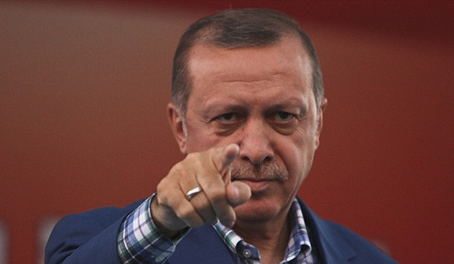 За три года более 29000 человек привлечено к уголовной ответственности за оскорбление Эрдогана
