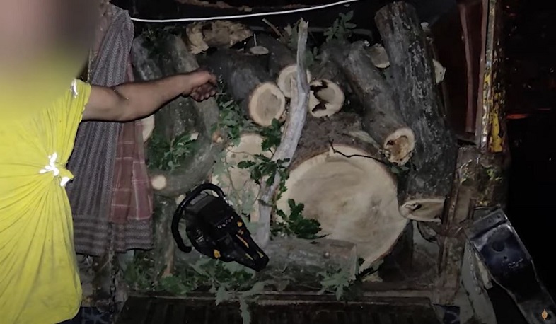 Դսեղի հարակից անտառից ծառ հատած երիտասարդը հայտնաբերվել է