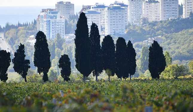 Կրեմլում մերժել են Ղրիմի հարցում Թուրքիայի հետ գործարքի գաղափարը