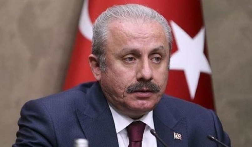 Ведутся переговоры о создании совместной тюркской армии: председатель Великого национального собрания Турции