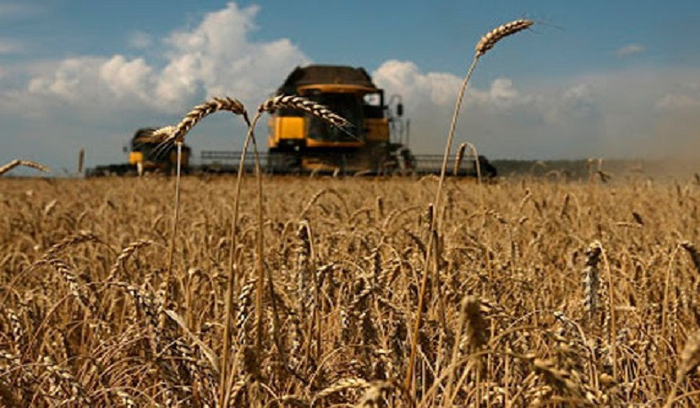 Կառավարությունը նախատեսում է սուբսիդավորել կամ փոխհատուցել աշնանացան ցորենի սերմերի գինը