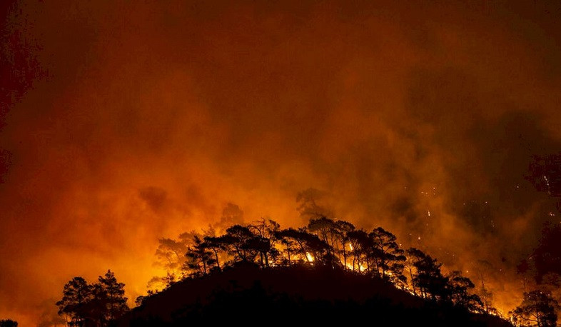 Թուրքիայի անտառային հրդեհներն ամենաաղետաբերն են վերջին 10 տարում