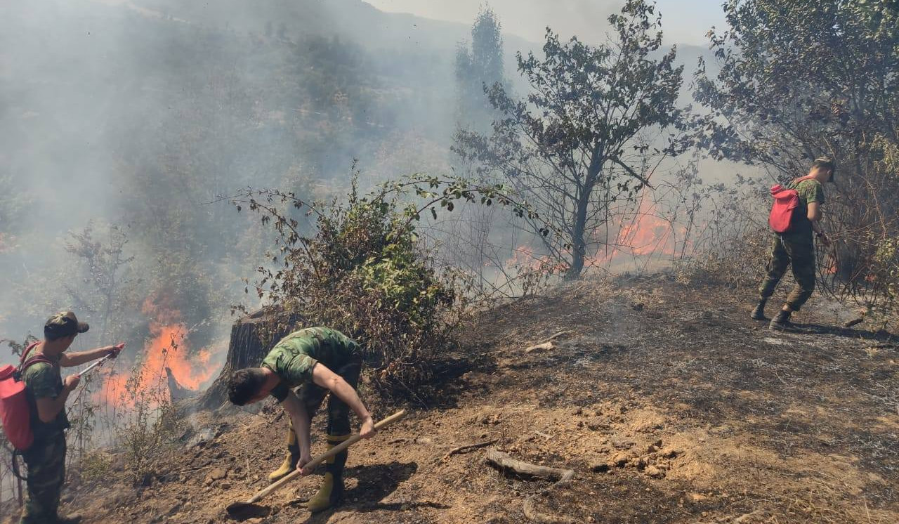 Лесные пожары в Азербайджане