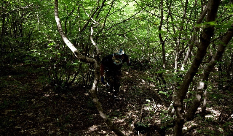 Search for remains continues today in Hadrut region in direction of Varanda