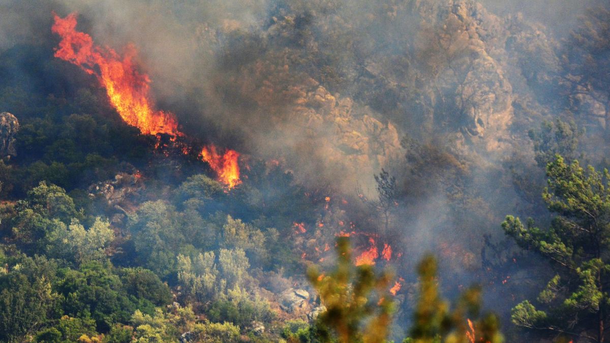 Անտառային հրդեհներ Ադրբեջանում