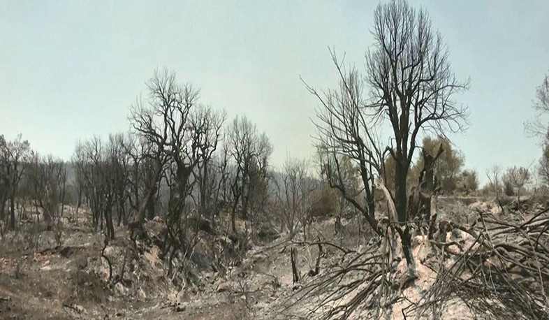 Հրդեհների հետևանքով Ալժիրում առնվազն 65 մարդ է զոհվել