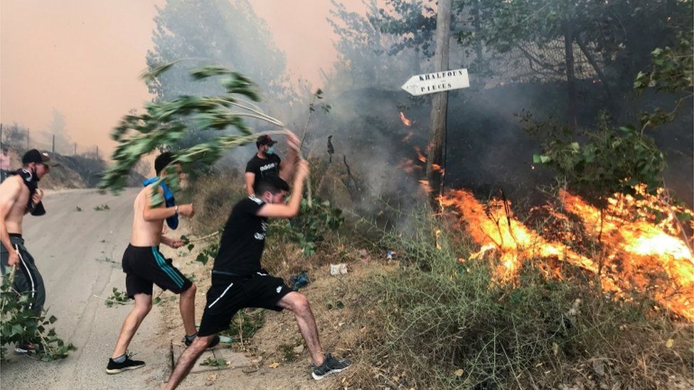 Algerian villagers desperately battle wildfires ravaging countryside