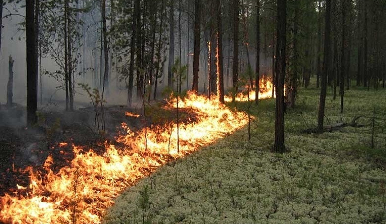 Հանրապետության մի շարք մարզերում սպասվում է բարձր կարգի հրդեհավտանգ իրավիճակ