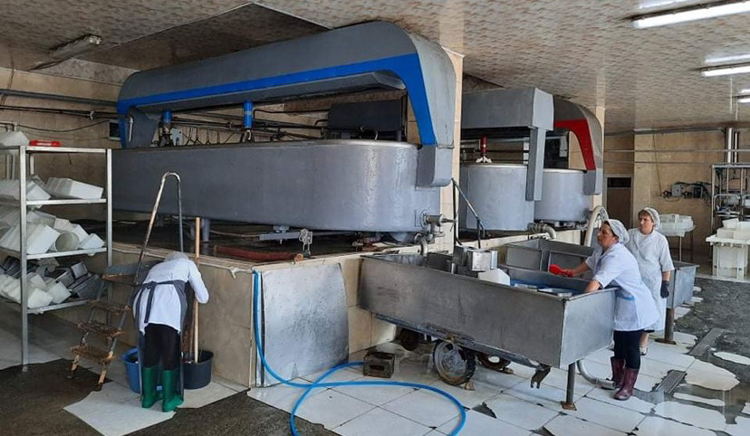 Ամասիայում կասեցվել է պանրի արտադրամասի գործունեությունը