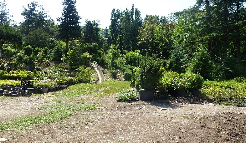 Խախտումներ Իջևանի դենդրոպարկում