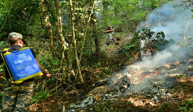 Մարտակերտի շրջանի Տոնաշեն համայնքի անտառներում բռնկված հրդեհը չի մարում