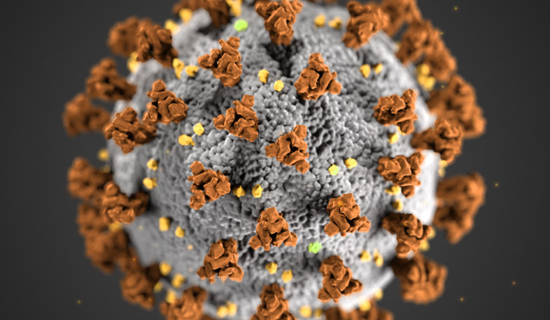 В Арцахе выявлен 1 случай заболевания коронавирусом