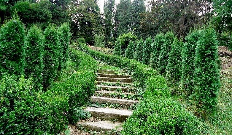 Իջևանի դենդրոպարկը նոր տնօրեն ունի