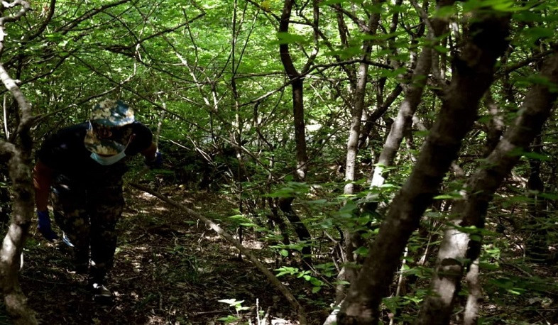 Ջրականի շրջանում հայտնաբերվել է ևս 2 հայ զինծառայողի աճյուն