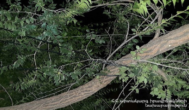 Վանաձորում ծառն ընկել է ավտոմեքենայի վրա