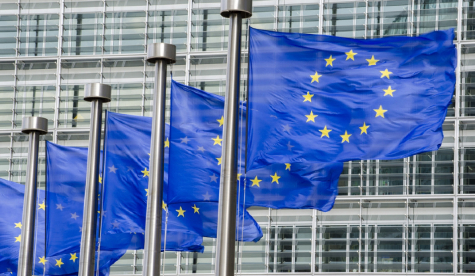 EU does not consider Taliban interim government in Afghanistan to be inclusive