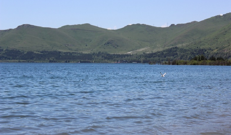 Պետական ֆինանսավորում Սևանա լիճը ճահճացումից փրկելու համար