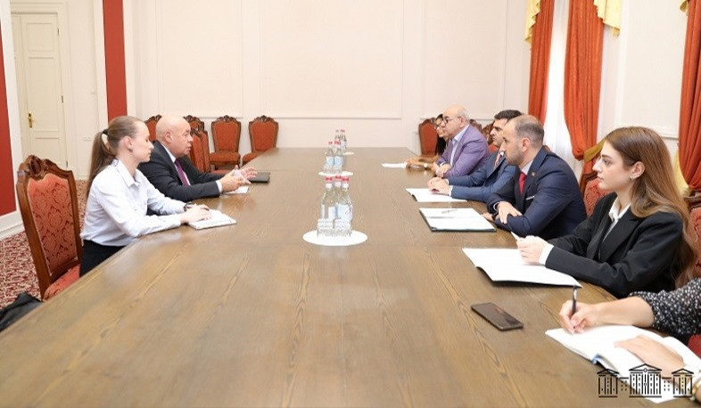 Mikhail Shvidkoy expressed concern over humanitarian and cultural challenges at meeting with Hakob Arshakyan