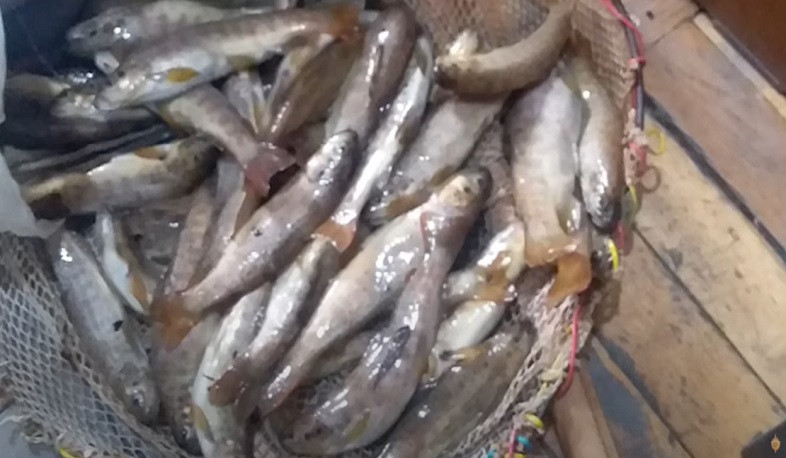 Էլեկտրական սարքով մի քանի տասնյակ ձուկ էր որսացել. ոստիկանների բացահայտումը