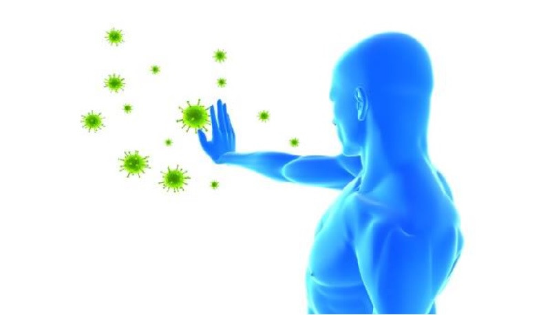 Ինչպե՞ս են աշխատում պատվաստանյութերը. պարզաբանում է Առողջապահության նախարարությունը