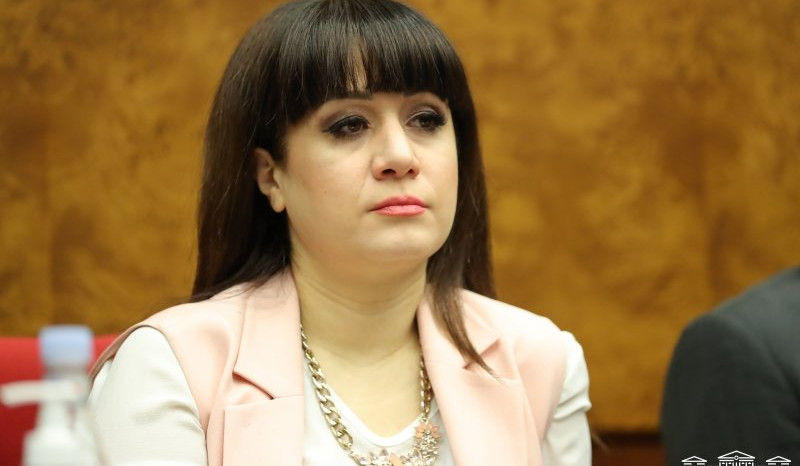 Международное сообщество должно заставить Алиева немедленно освободить всех армянских военнопленных: выступление Назели Багдасарян в ПАСЕ