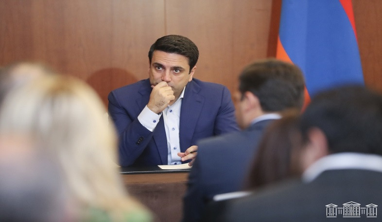 Ален Симонян встретился с представителями армянской общины России. В центре обсуждения был вопрос репатриации