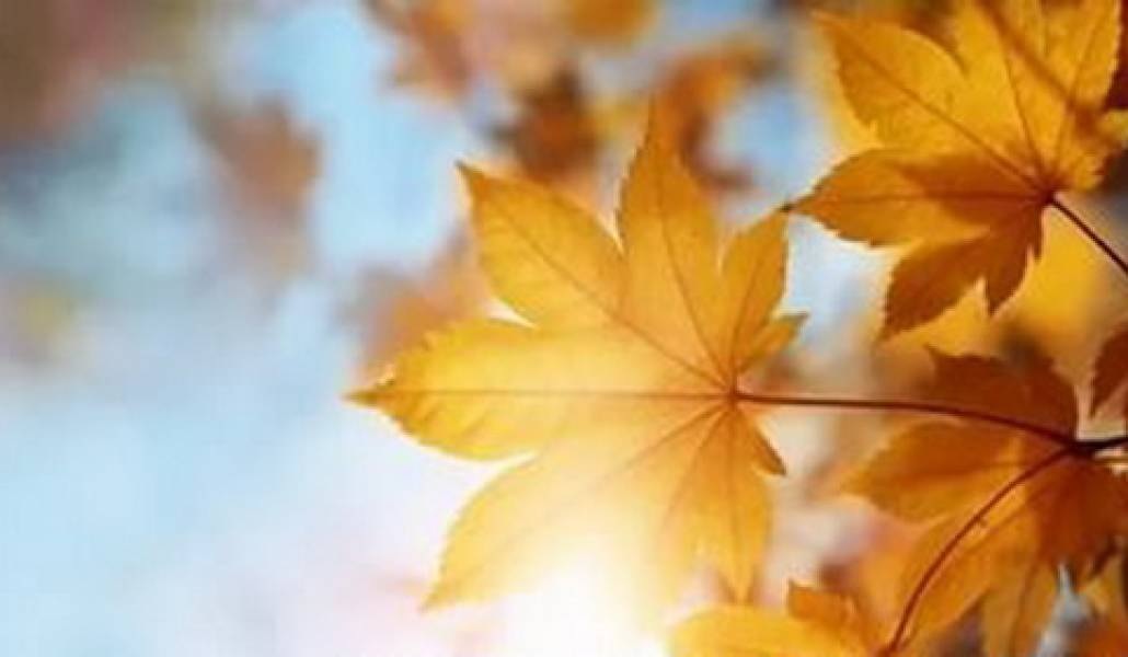 Սպասվում է առանց տեղումների եղանակ. օդի ջերմաստիճանը կբարձրանա