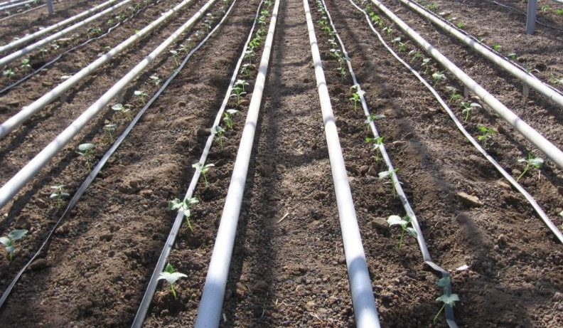 Մինչև 3 հա հողատարածքներում կաթիլային, անձրևացման համակարգերի ներդրման դեպքում ոռոգման ջրի վարձավճարը կփոխհատուցվի 5 տարով