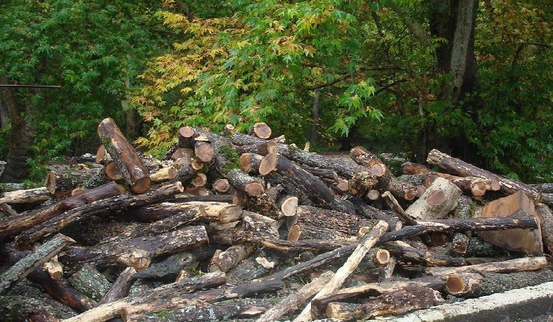 Անտառամերձ բնակավայրերի բնակիչներին կտրամադրվի թափուկ վառելափայտ. բնակավայրերի ցանկը թարմացվել է