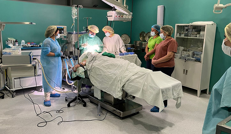 Yaralı hərbi qulluqçularımızın əməliyyatları uğurlu keçib: Artsaxn Dövlət naziri