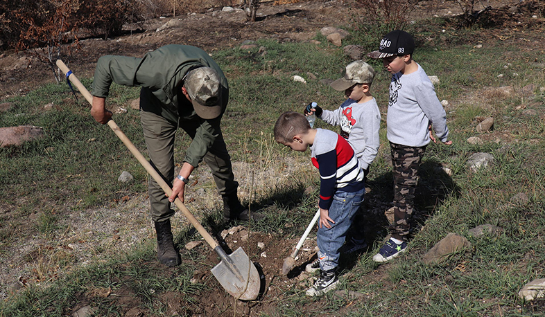 «Ջրվեժ» անտառպարկում հրդեհների արդյունքում այրված տարածքում ծառատունկ է իրականացվել