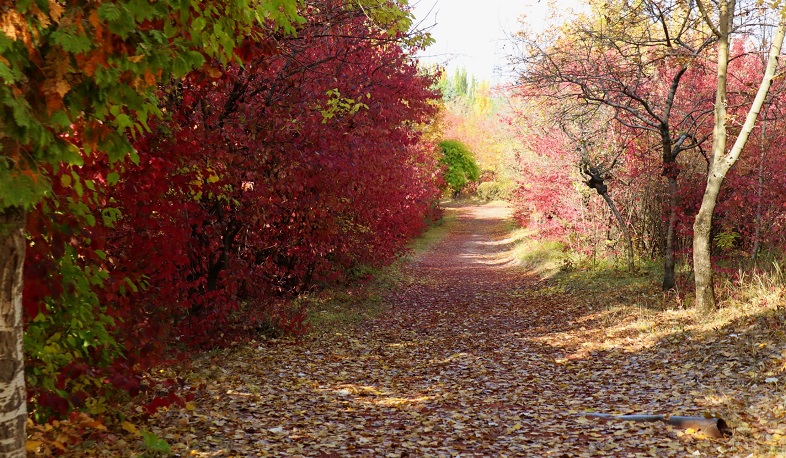 Մոտ ապագայում քաղաքացիները կունենան լավագույն հարմարություններով հագեցած քաղաքային զբոսայգի. ՇՄ նախարարություն