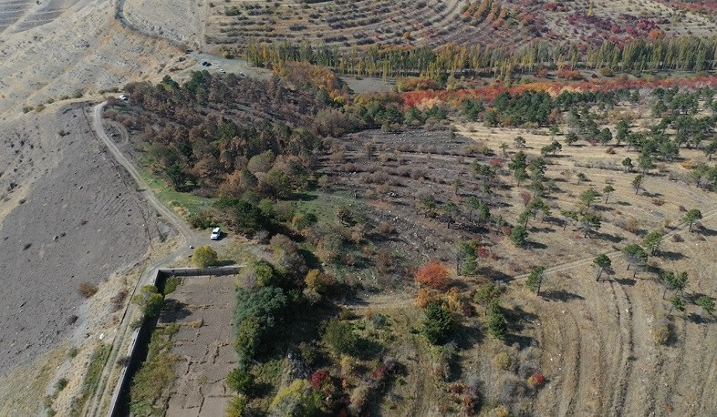 «Ջրվեժ» անտառպարկում հրդեհների հետևանքով այրված 7 հեկտար տարածքում ծառատունկ է իրականացվել