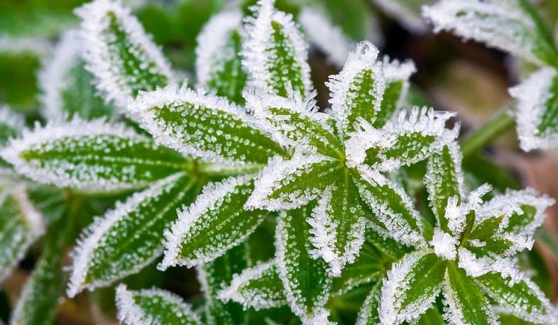 Հոկտեմբերի 21-ի լույս 22-ի գիշերը Արարատյան դաշտում հողի մակերևույթին կանխատեսվում է 3-4 աստիճան ցուրտ