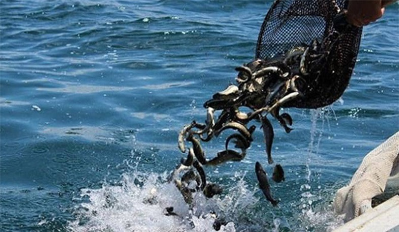 Պետք է հարգել արդյունագործական որսի թույլատրելի չափաքանակների և ժամկետների վերաբերյալ Կառավարության որոշումը. ՇՄ նախարարություն