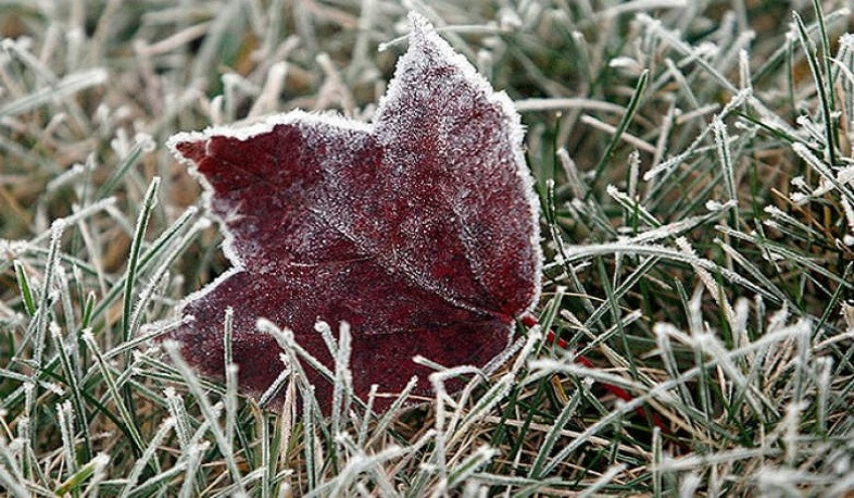 Հոկտեմբերի 22-ի լույս 23-ի գիշերը Արարատյան դաշտում հողի մակերևույթին կանխատեսվում է -2…-4 աստիճան ցուրտ