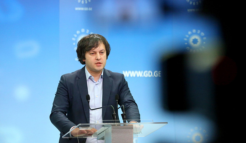 Վրաստանի իշխող կուսակցությունը քննադատել է եվրապատգամավորներին