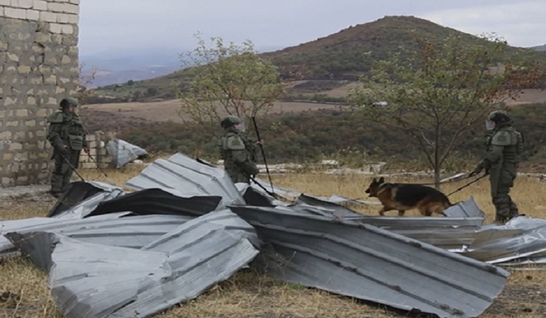 Российские миротворцы разминировали 2 га территории в Арцахе с привлечением собак минно-розыскной службы и робототехнических комплексов