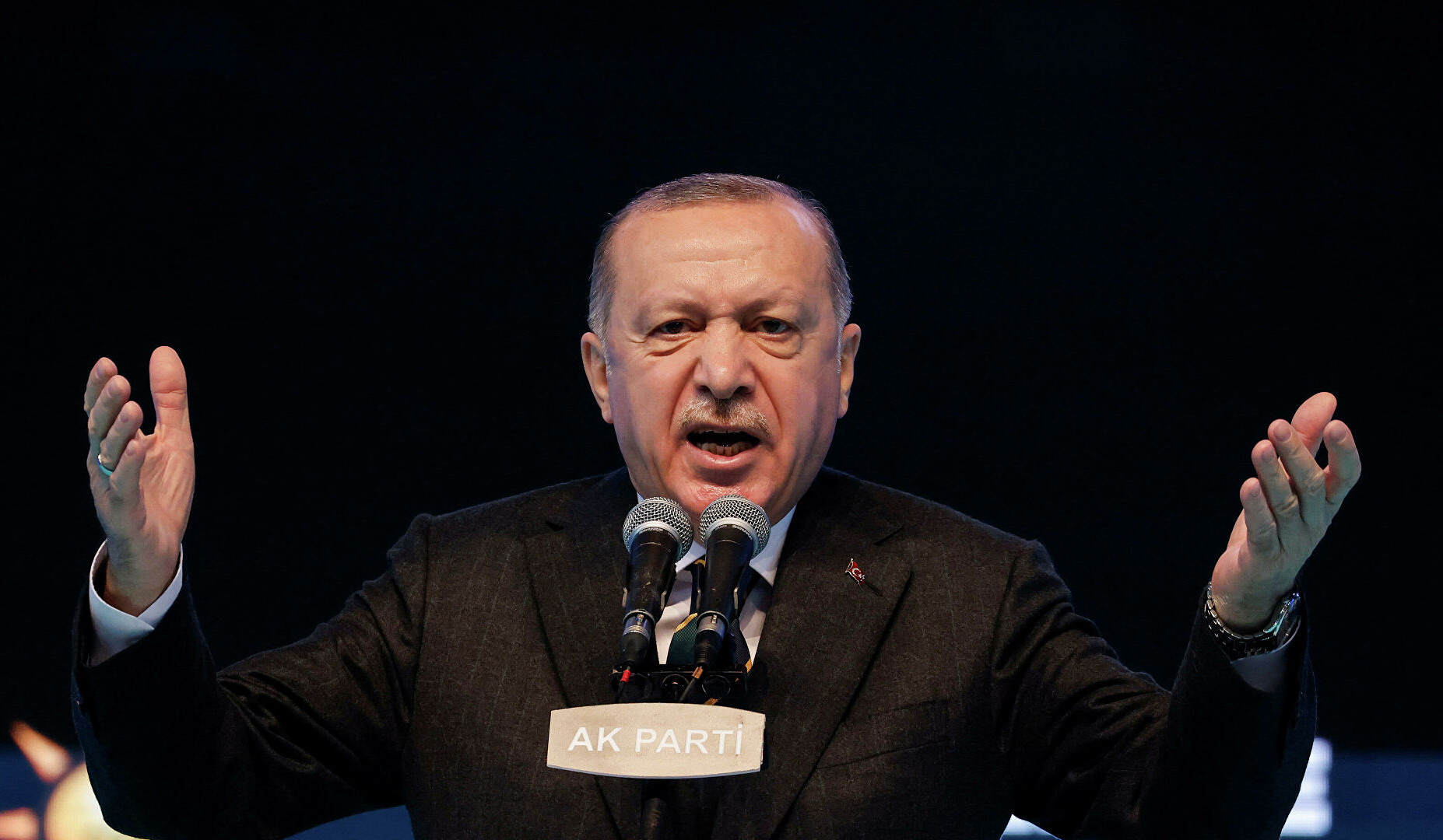 Эрдоган приказал объявить персонами нон грата послов 10 стран
