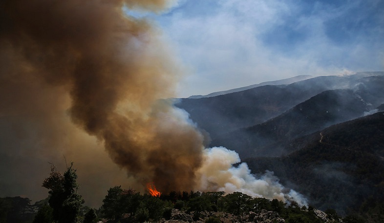 7 российских туристов арестовали в Турции по подозрению в неумышленном поджоге леса