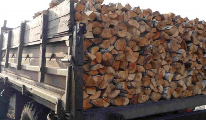 Ապօրինի հատվել է 111 ծառ. վնասի չափը պարզվում է